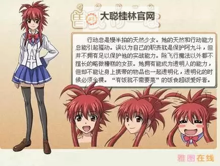 《终极决战：最后的大魔王6的崛起与终结》图1