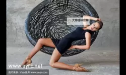 揭秘4438x亚洲全国最大情网的真实内幕与发展历程