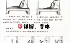 动物涨姿势电脑版下载 动物涨姿势电脑版的安装使用方法