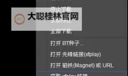 最新发布：影音先锋磁力资源每日精选推荐一览