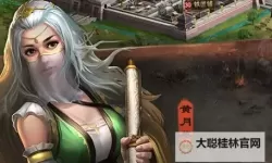 三国群英纪双开软件推荐 全程免费福利来袭