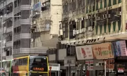 日本免费带你领略香港风情：畅享无忧体验