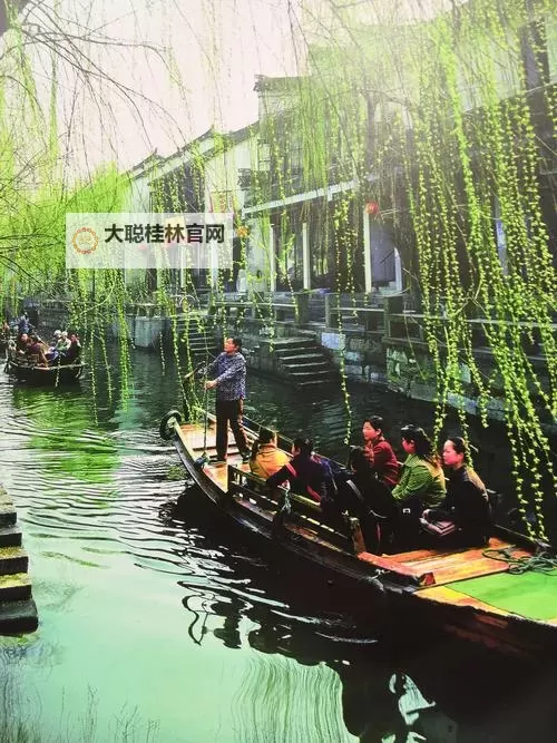 走一下撞一下：深深咬合兄妹的成长故事图1