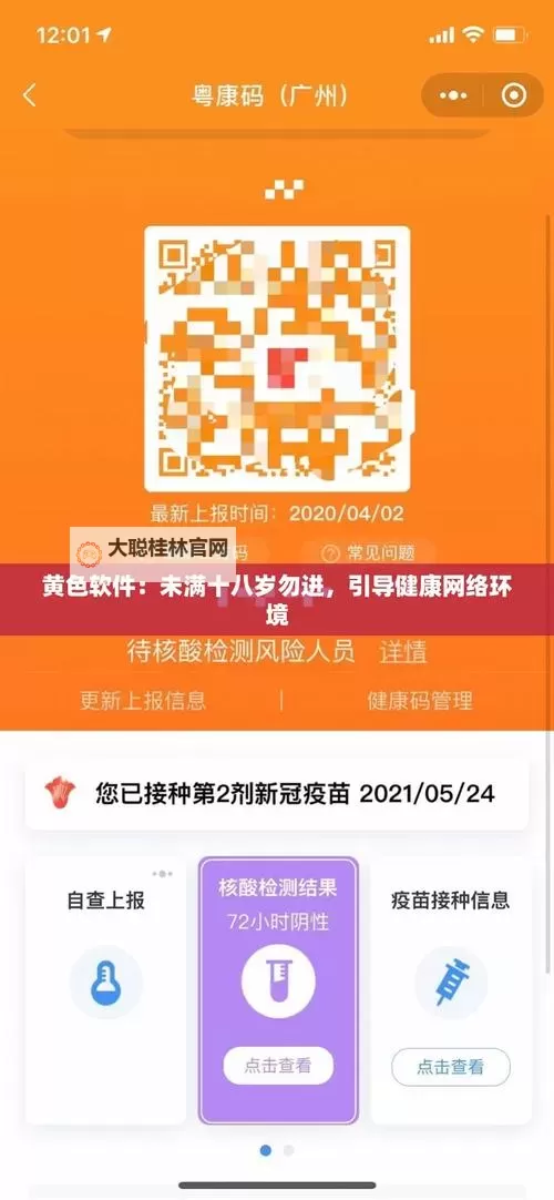 100款黄色禁用软件：全面盘点与安全防范指南图1