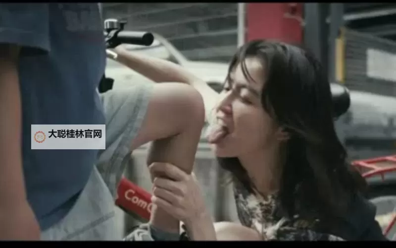 畅享精彩：日本欧洲在线观看，全景体验两地文化魅力图1