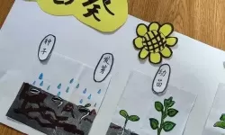 坐在根茎上写作业好吗？趣味与安全的探讨