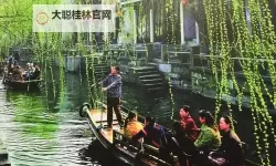 走一下撞一下：深深咬合兄妹的成长故事