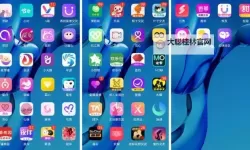 色猫软件：破解视觉体验的新利器