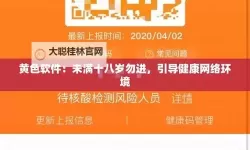 100款黄色禁用软件：全面盘点与安全防范指南