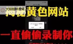 三邦车视网黄色内容曝光：揭秘行业内幕与风险分析