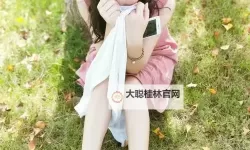 色呦呦免费观看：最新免费在线看内容全解析