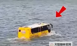 在公交车上撞出了水：意外中的奇趣瞬间