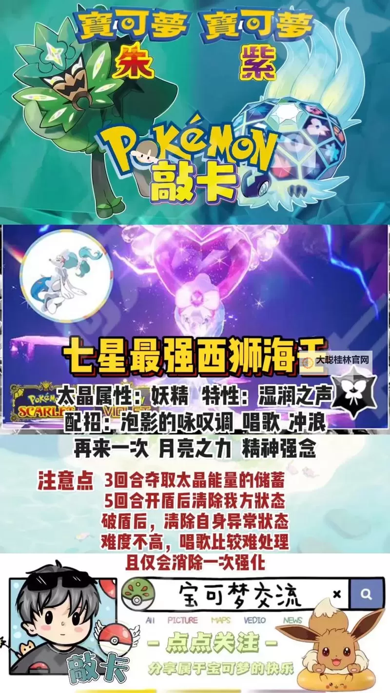 《宝可梦剑盾》S4双打西狮海壬队伍心得图1