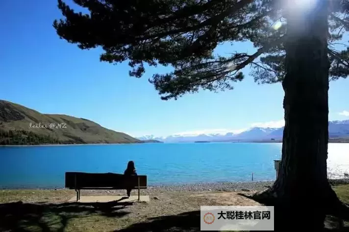 尽享乐趣：在线天堂无限次观看精彩内容永久免费图1