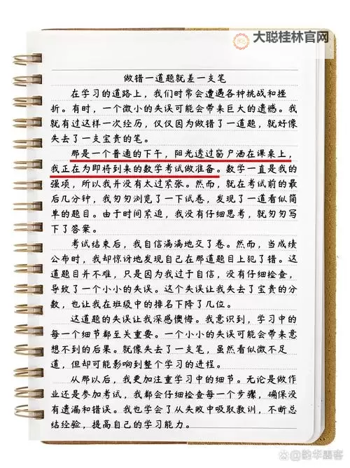 做一道题插一支笔怎么写：正确书写指导与示范图1