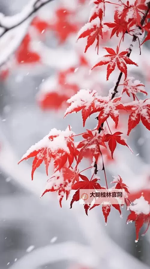 老色批AV影院：探索成人影视新体验图1