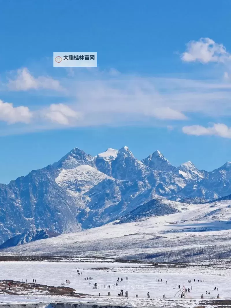 游戏王：决斗链接电脑版下载 怎么下载游戏王：决斗链接电脑版模拟器图2