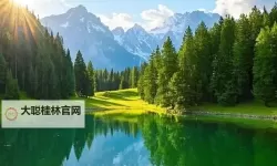 有染1V2LH出：揭秘最新恋爱动态与情感走向