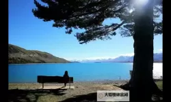 尽享乐趣：在线天堂无限次观看精彩内容永久免费