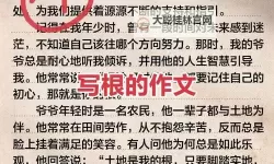 关于「坐在学长的根茎上写句子」的创意表达与思考