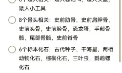 《星露谷物语》全古董文物出处一览 古董文物在哪出