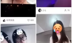 全面揭秘：十大禁用黄色软件大全，避免法律风险的必知清单