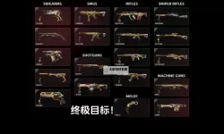 《无畏契约》爪刀评价 瓦罗兰特爪刀皮肤排行