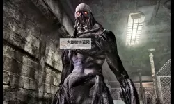 《生化危机4重制版》专家难度S+难度打法建议