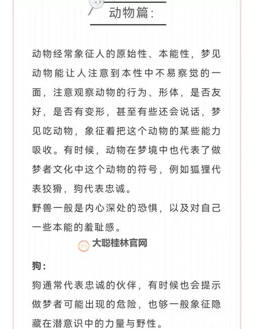 《梦境食旅》随机事件盘点：那些可能给你带来好运的神奇小动物！图1