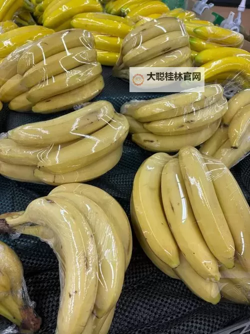 探索精彩内容：香蕉视频chicbanana带你尽享视听盛宴图1