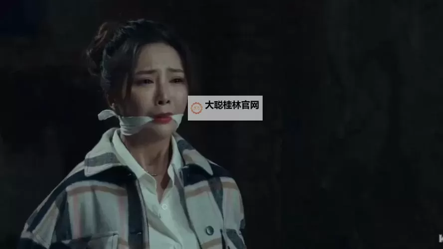 探索国产第一视频与第二视频的精彩对比与深度解析图1