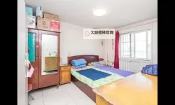 神中马一区二区：探秘奇幻世界的瑰宝