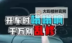 真人开车疼痛有声音：真实体验引发关注