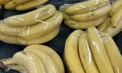 探索精彩内容：香蕉视频chicbanana带你尽享视听盛宴