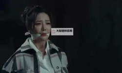 探索国产第一视频与第二视频的精彩对比与深度解析