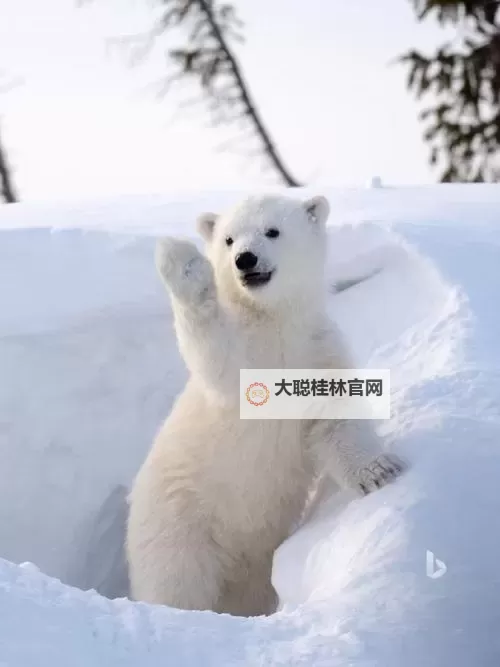 《潜行者2切尔诺贝利之心》杨塔地区海边悬崖藏匿点位置 密码门密码分享图1