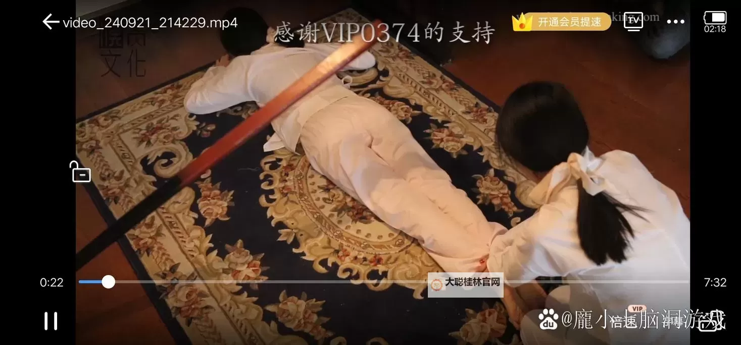 汉责文化网站入口免费：开启文化之门的优质平台图1