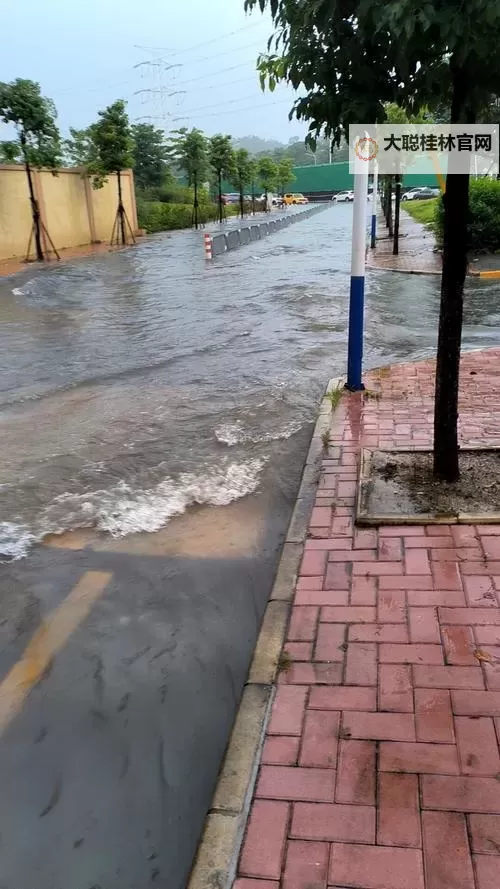 中学沟厕积水反光：隐忧中的校园安全隐患图1