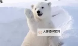 《潜行者2切尔诺贝利之心》杨塔地区海边悬崖藏匿点位置 密码门密码分享