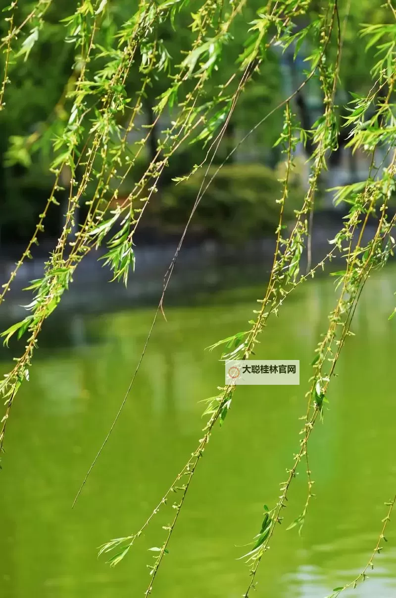 2024最新榜单:最受欢迎的韩剧TOP10盘点图1