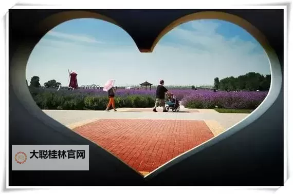 无码一区伊甸园:纯粹体验的极致诱惑图1