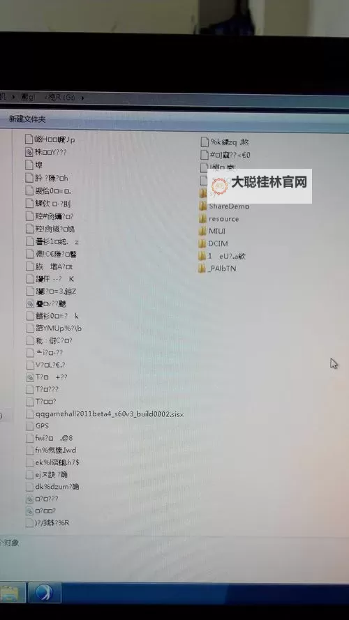 中欧乱码卡一卡二卡三:数字乱码背后的秘密探索图1