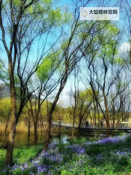 2024最新榜单:最受欢迎的韩剧TOP10盘点图2