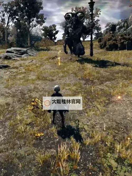 《艾尔登法环》信感偷袭流入侵玩法教学图1