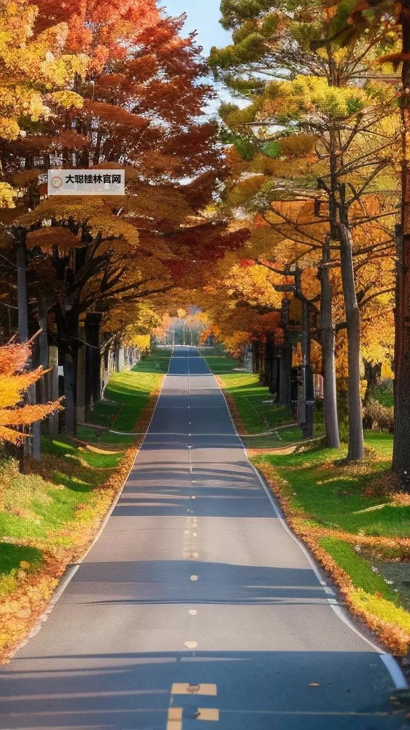 《勇者斗恶龙英雄2》小金币获得方法及兑换道具一览 小金币怎么获得图1