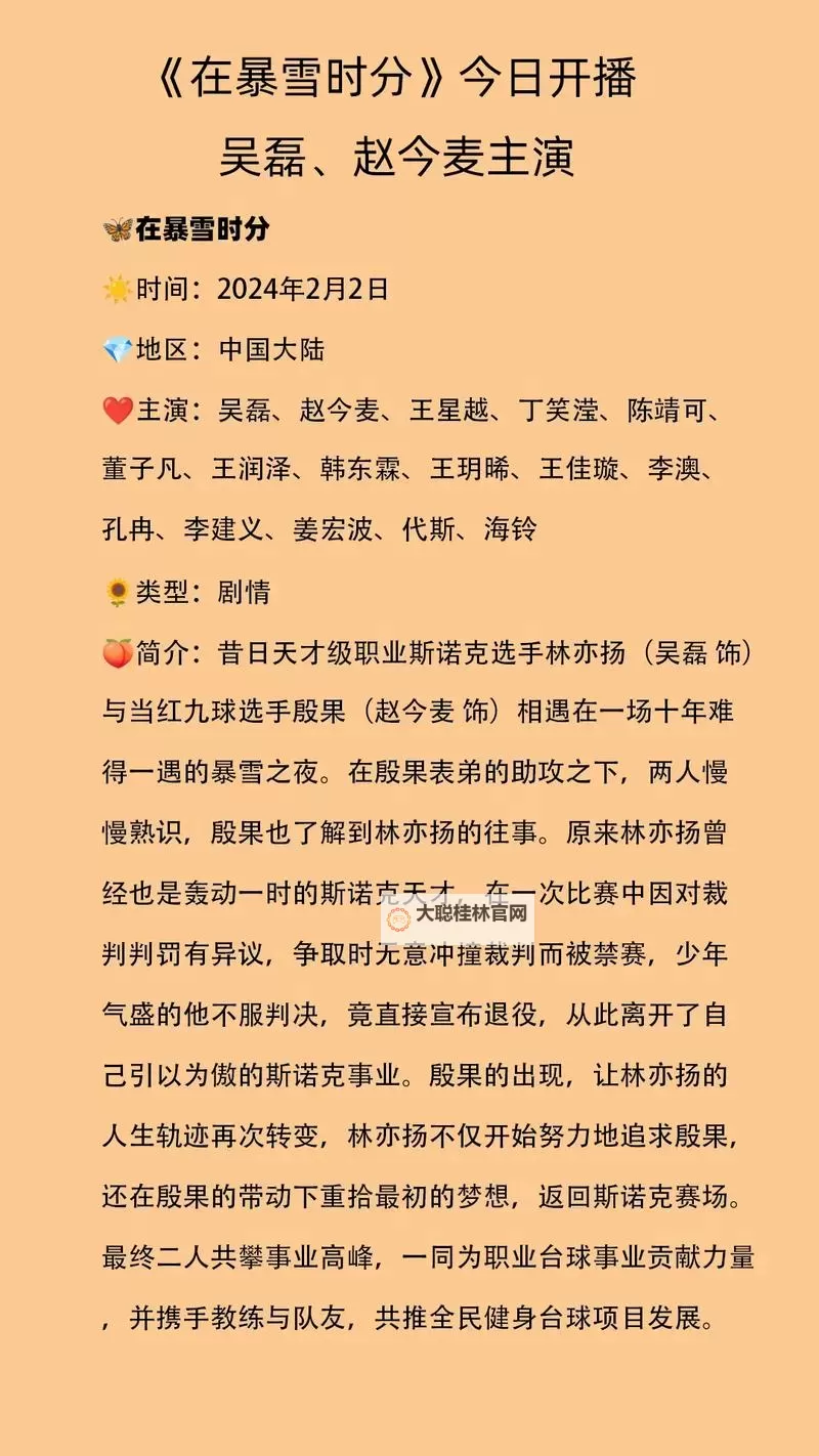 在暴雪时分人物关系图：群像交错中的命运与情感线索图1