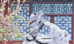 最爱怡红院：品味繁华盛景中的红楼梦幻