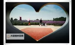 无码一区伊甸园：纯粹体验的极致诱惑