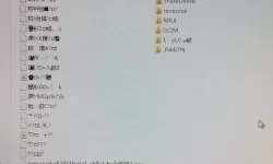 中欧乱码卡一卡二卡三：数字乱码背后的秘密探索