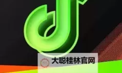 畅享无限精彩：最新8 x在线视频高清观看指南